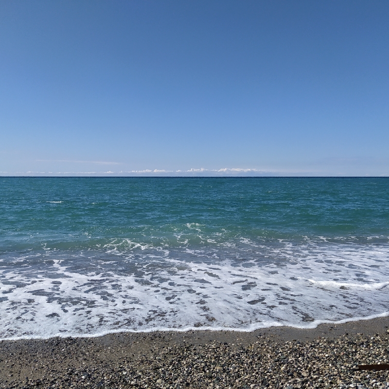 IMG_20211002_125920_resize_5.jpg