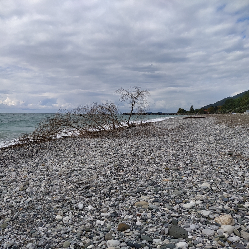 IMG_20211005_123539_resize_86.jpg