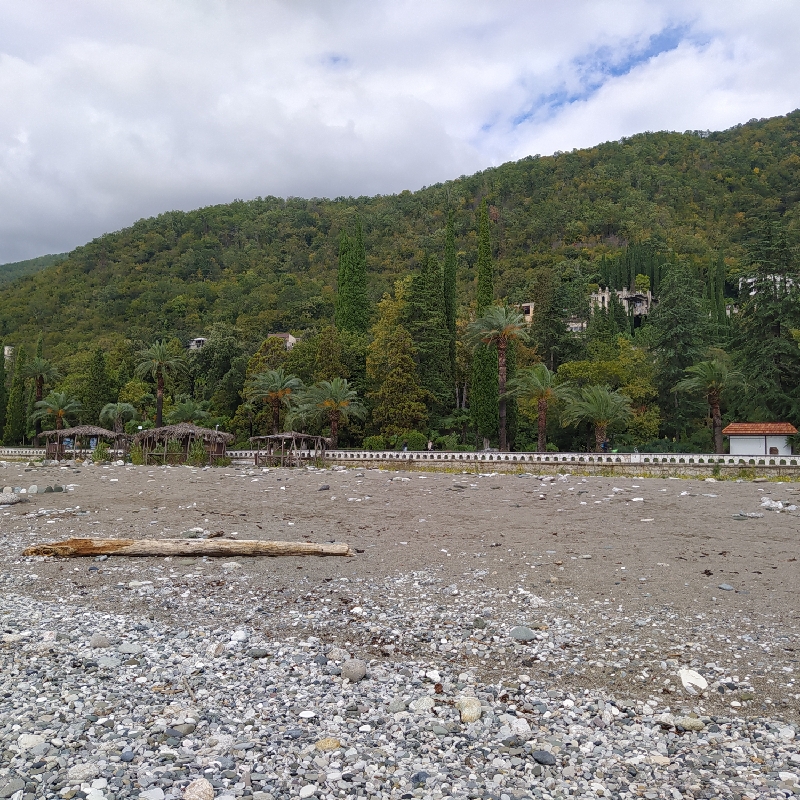 IMG_20211005_123639_resize_65.jpg