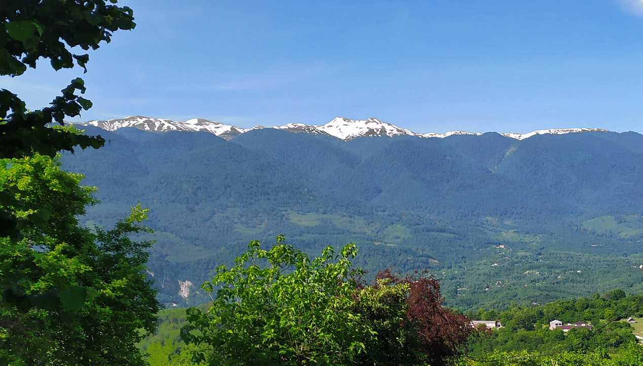 IMG_20220602_Бармыш.jpg