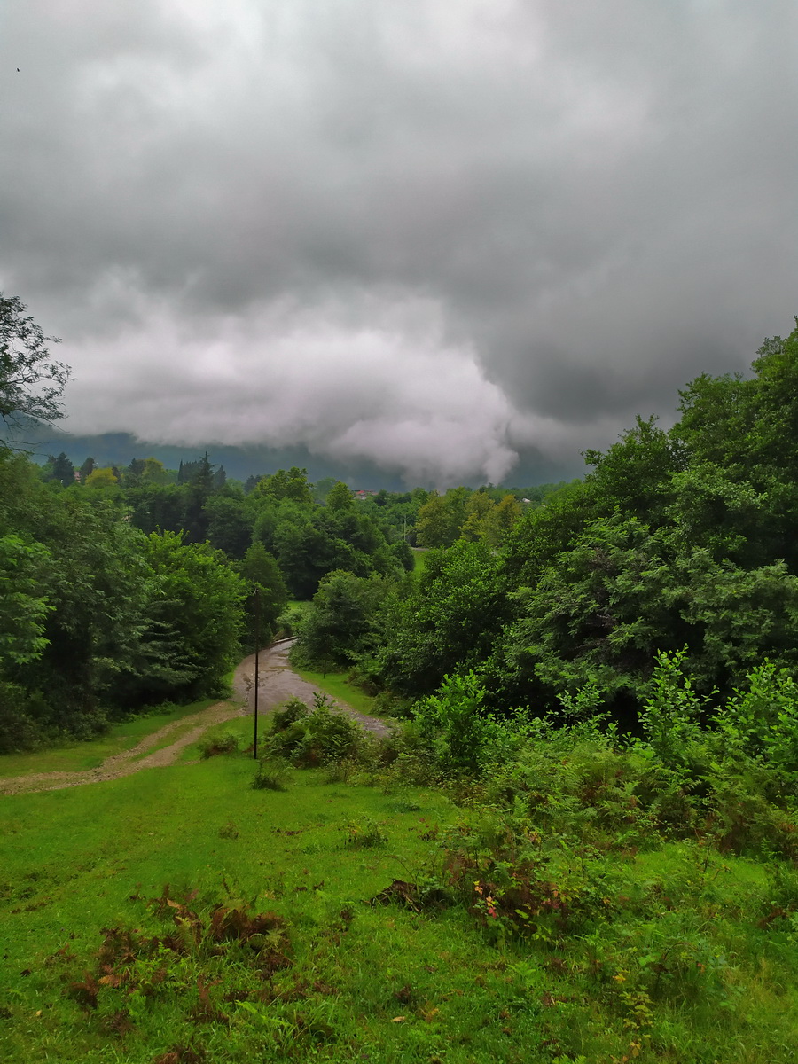 IMG_20220721_165314.jpg