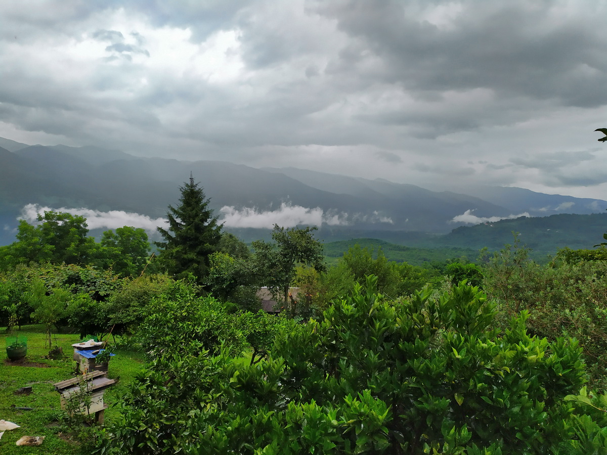 IMG_20220723_120409 Бармыш.jpg