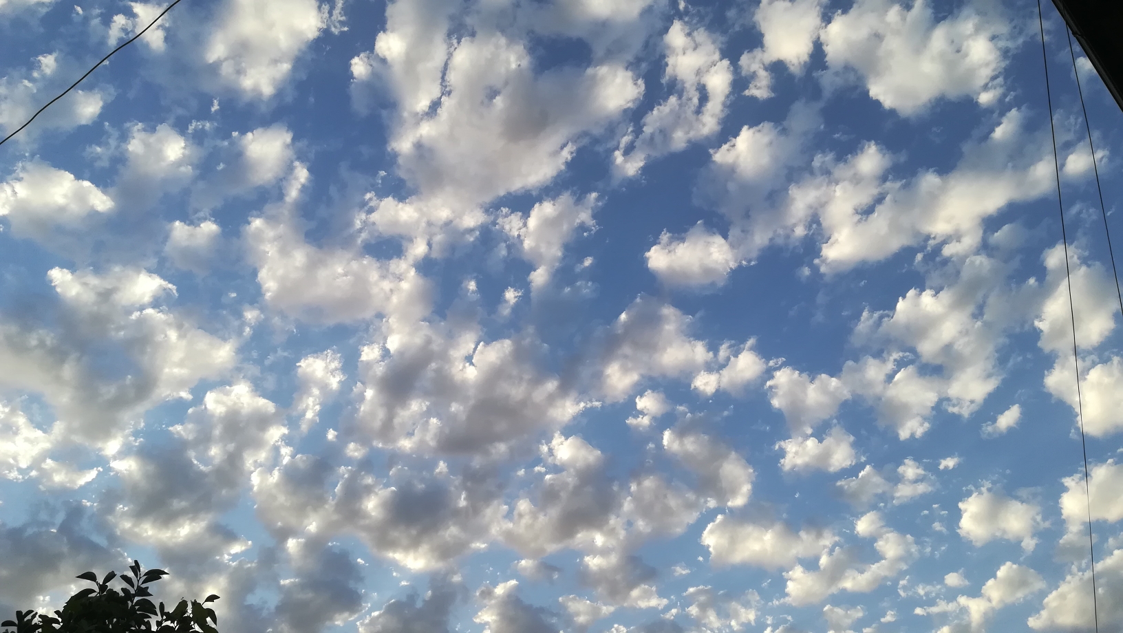 IMG_20220918_184747_resize_52.jpg