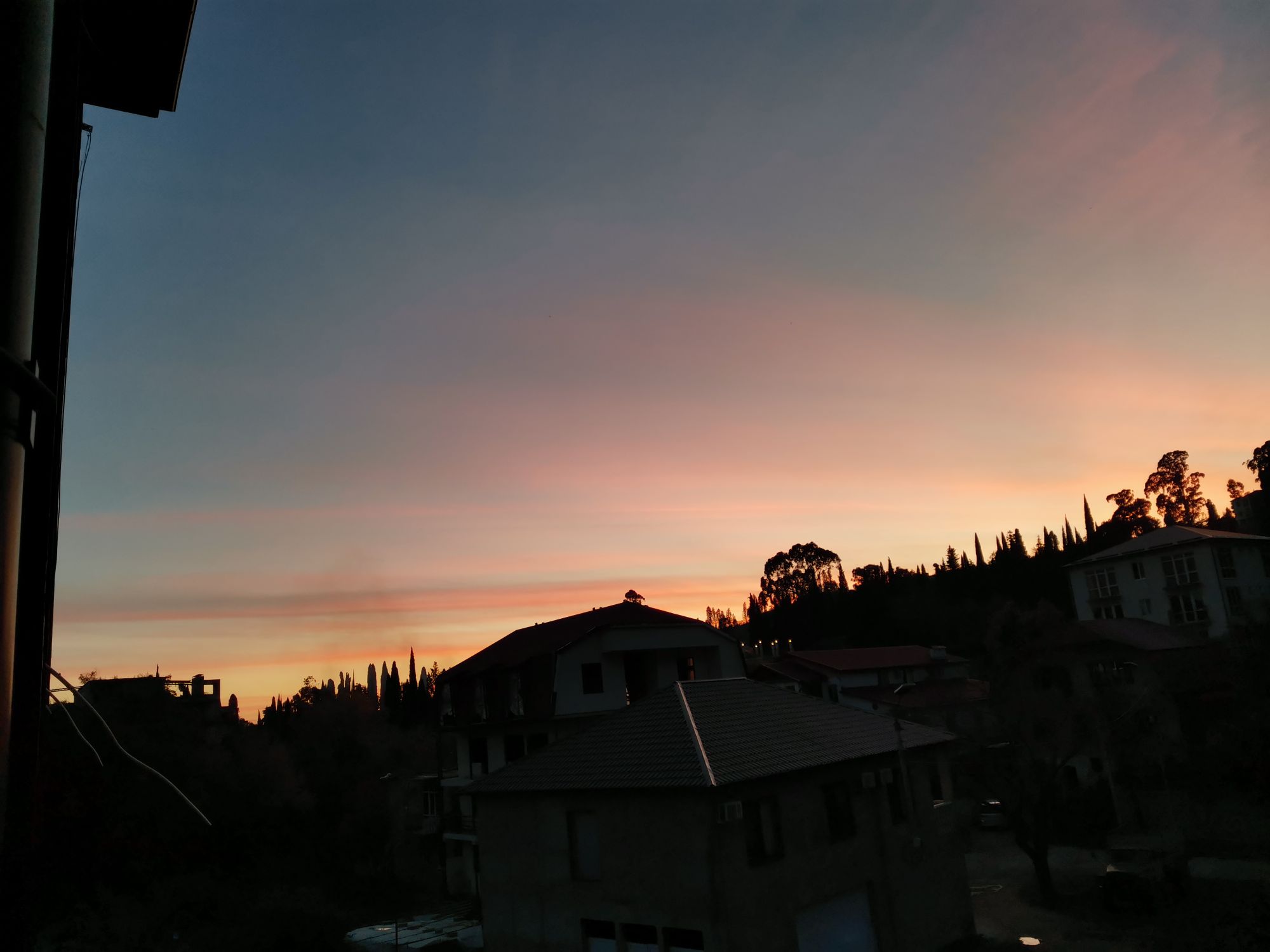 IMG_20221106_181644_YzVhGNpo2c.jpeg