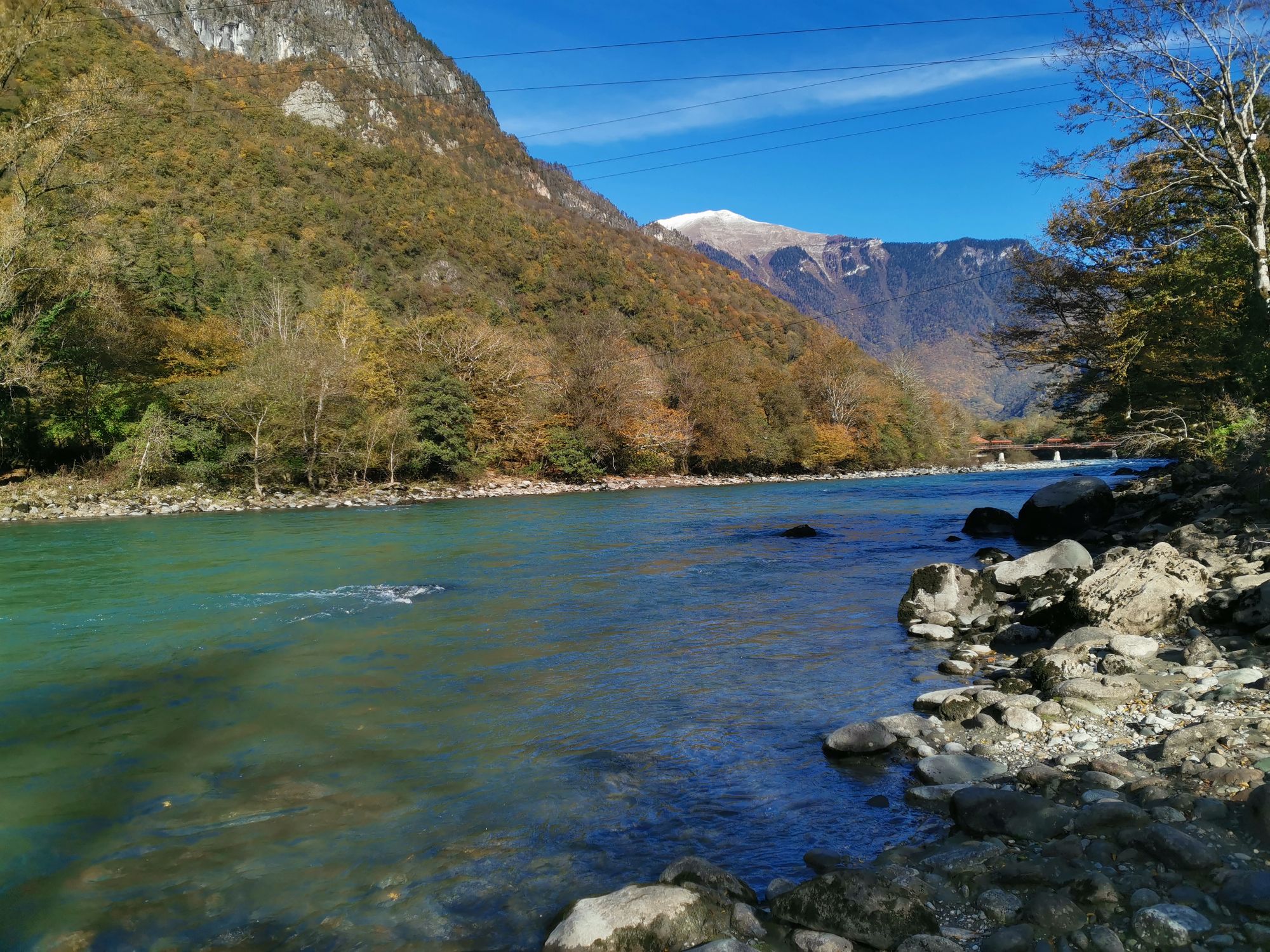 IMG_20221107_113323_pFMIiVEg8v.jpeg
