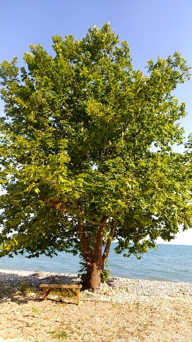 IMG_20230619_183850_resize_12.jpg