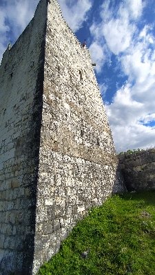IMG_20230621_073331_resize_76.jpg