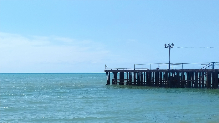 IMG_20230623_135849_resize_13.jpg