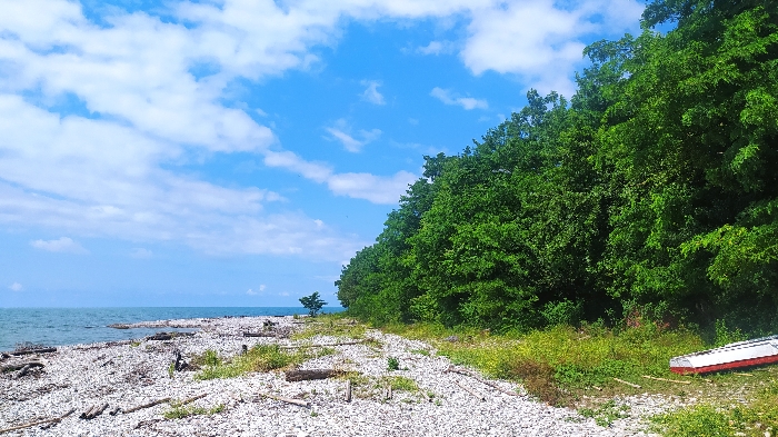 IMG_20230624_094601_resize_12.jpg