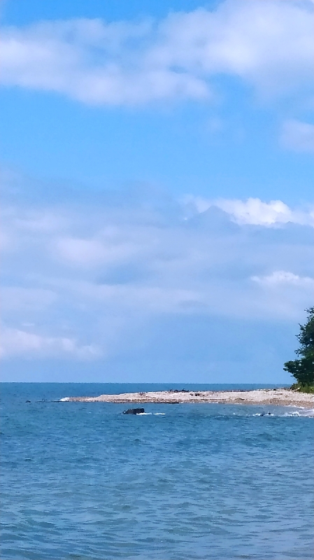 IMG_20230624_123417_resize_45.jpg