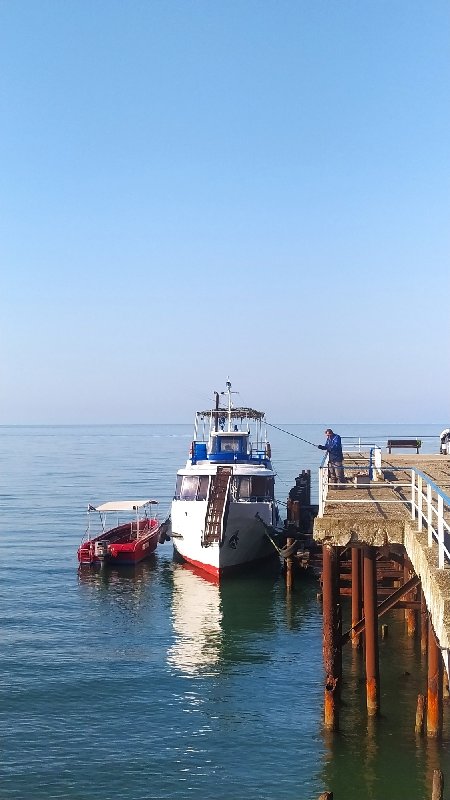 IMG_20230626_064800_resize_1.jpg