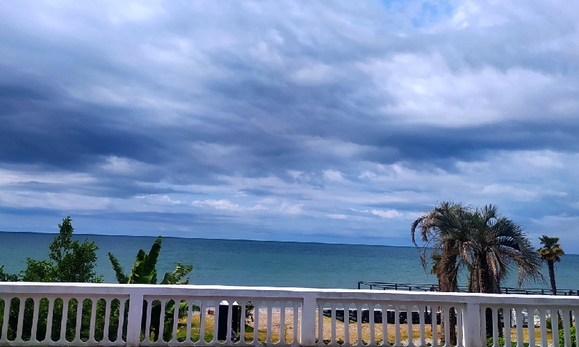 IMG_20230627_120924_resize_59.jpg