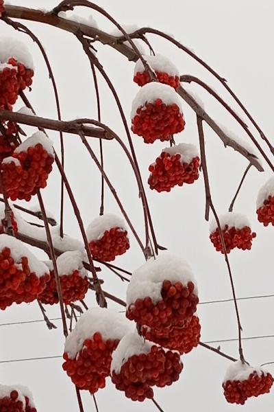 IMG_20240127_150304_IKYfcWxi71.jpeg