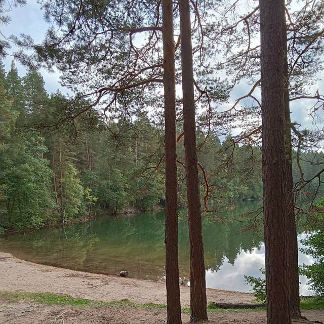 IMG_20240527_204608_115_glQBACJ38V.jpeg