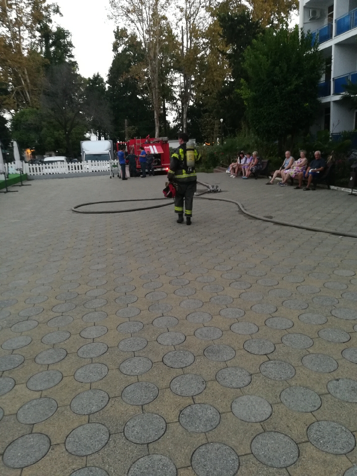 IMG_20240828_225620_resize_0.jpg