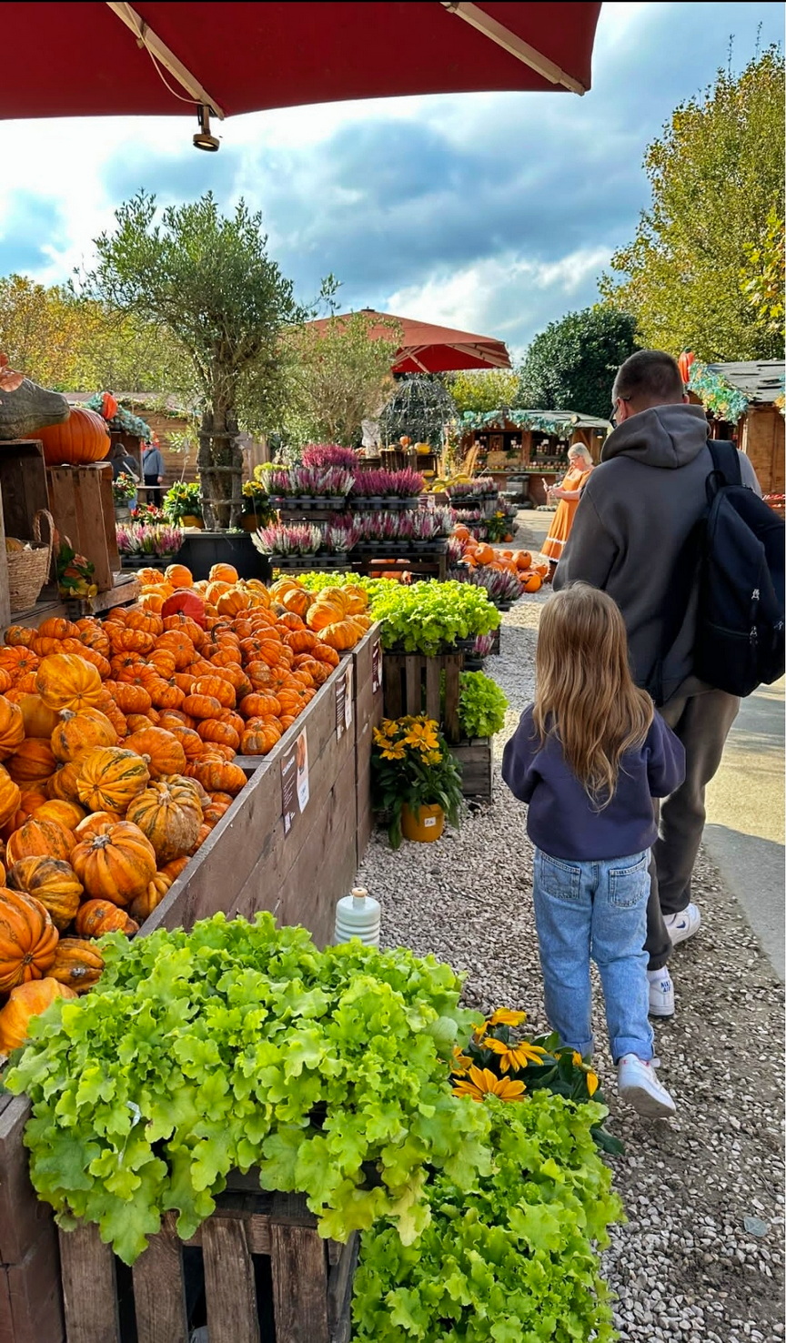 IMG_20241031_5  Pumpkin farm.jpg