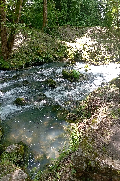 IMG_20250523_143216_XGtEhYIr1s.jpeg