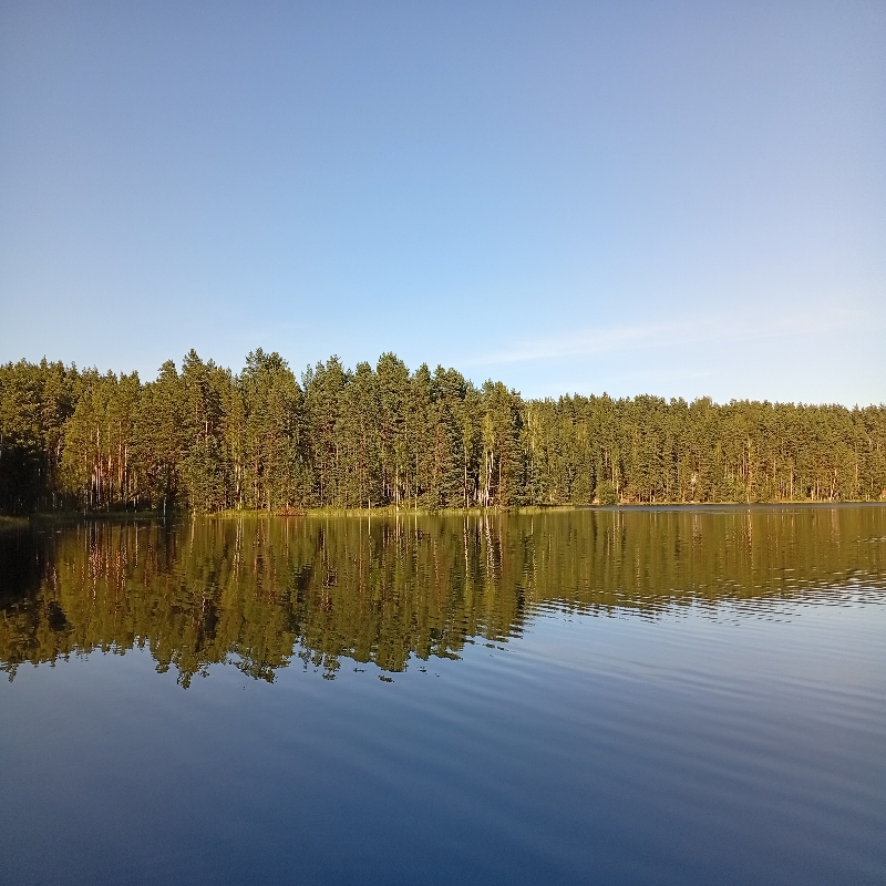 IMG_20250814_182838.jpeg