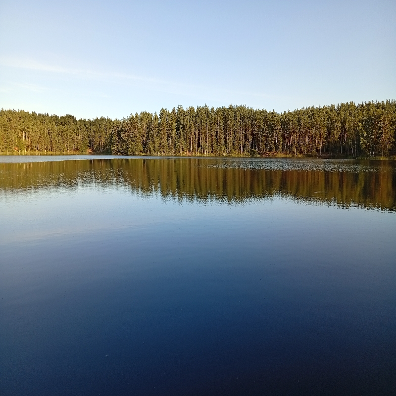 IMG_20250814_185235.jpeg