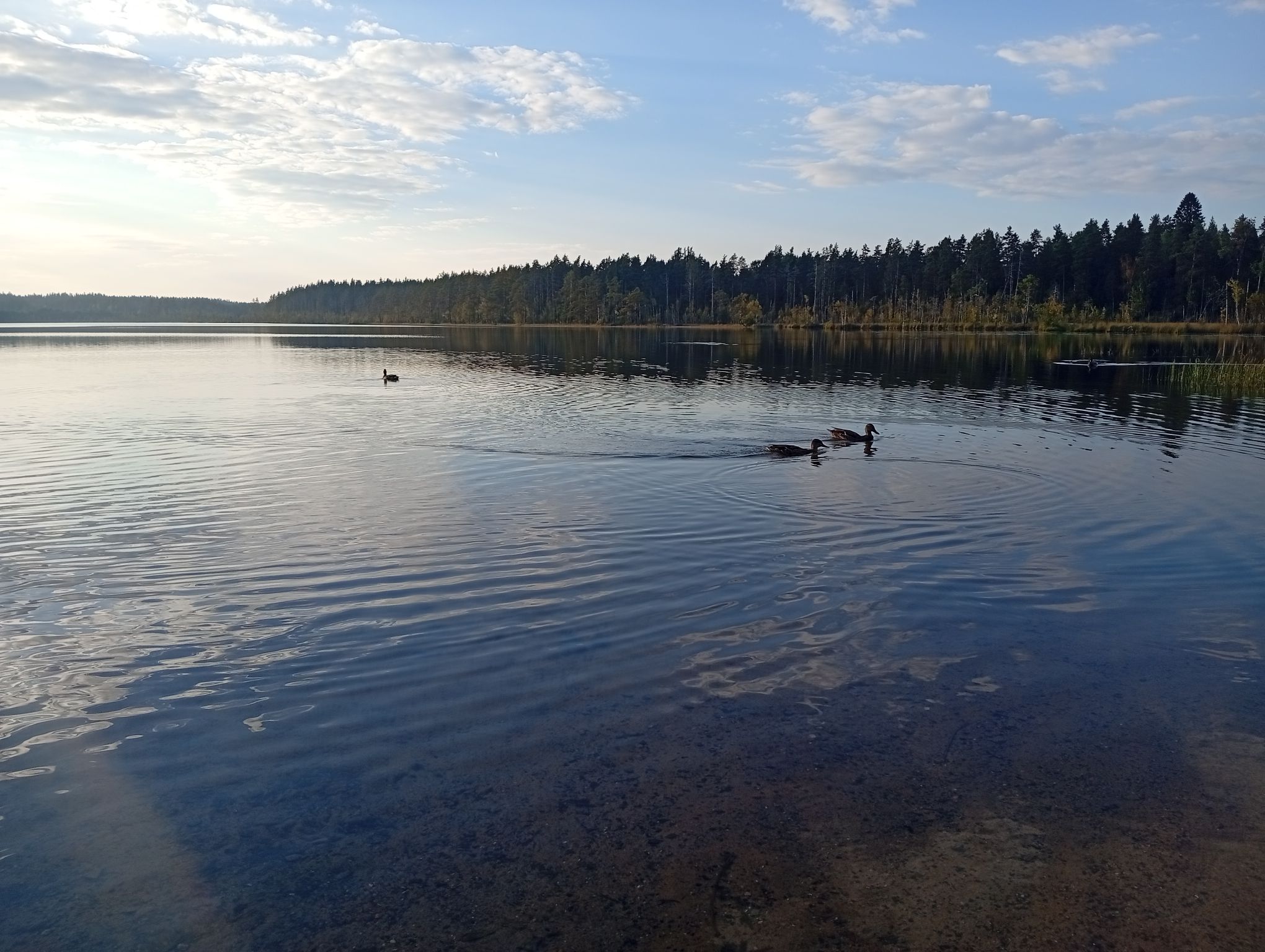 IMG_20250910_180003.jpeg