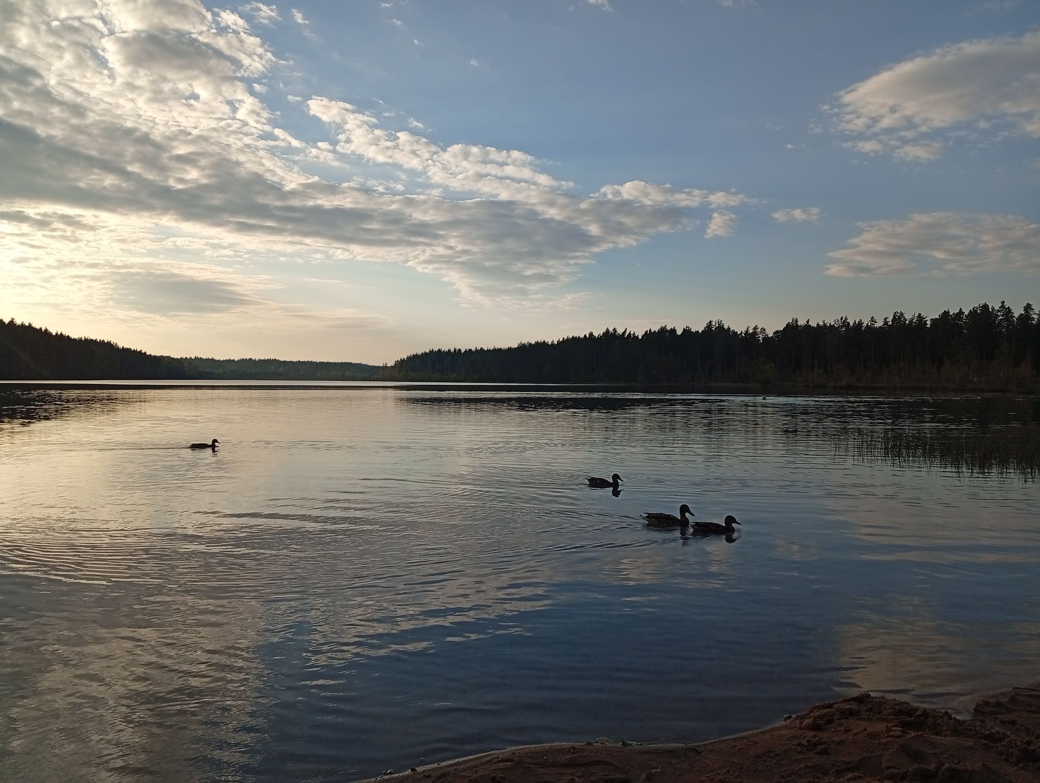 IMG_20250910_180559.jpeg