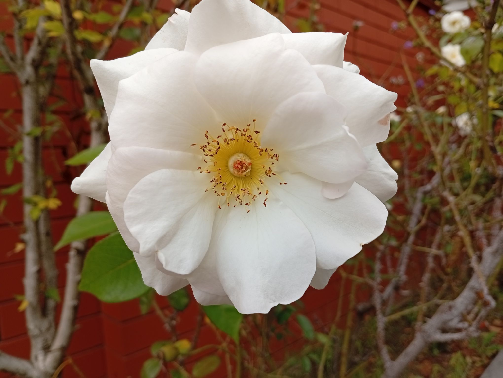 IMG_20250929_130751.jpeg