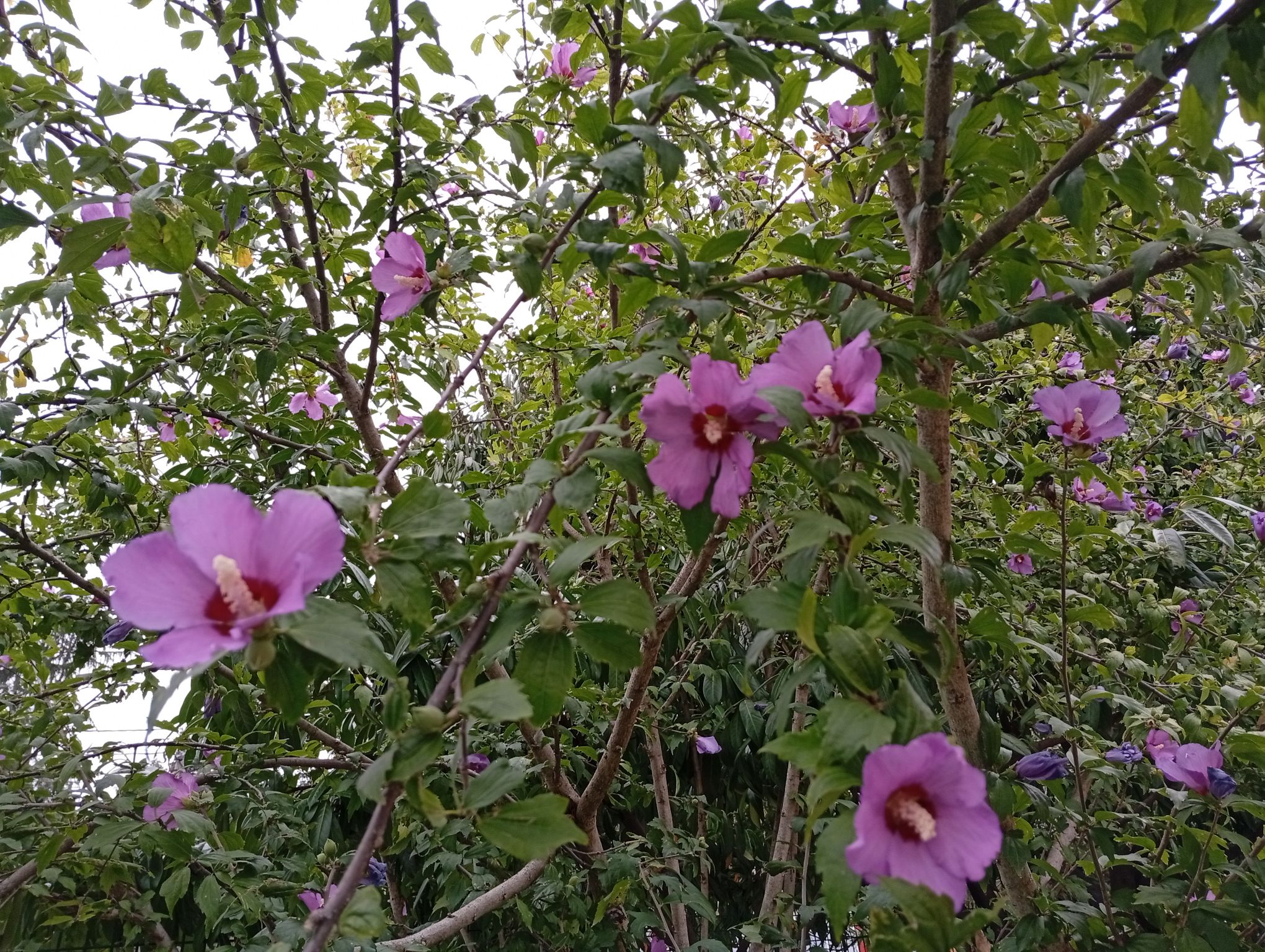 IMG_20250929_170458.jpeg