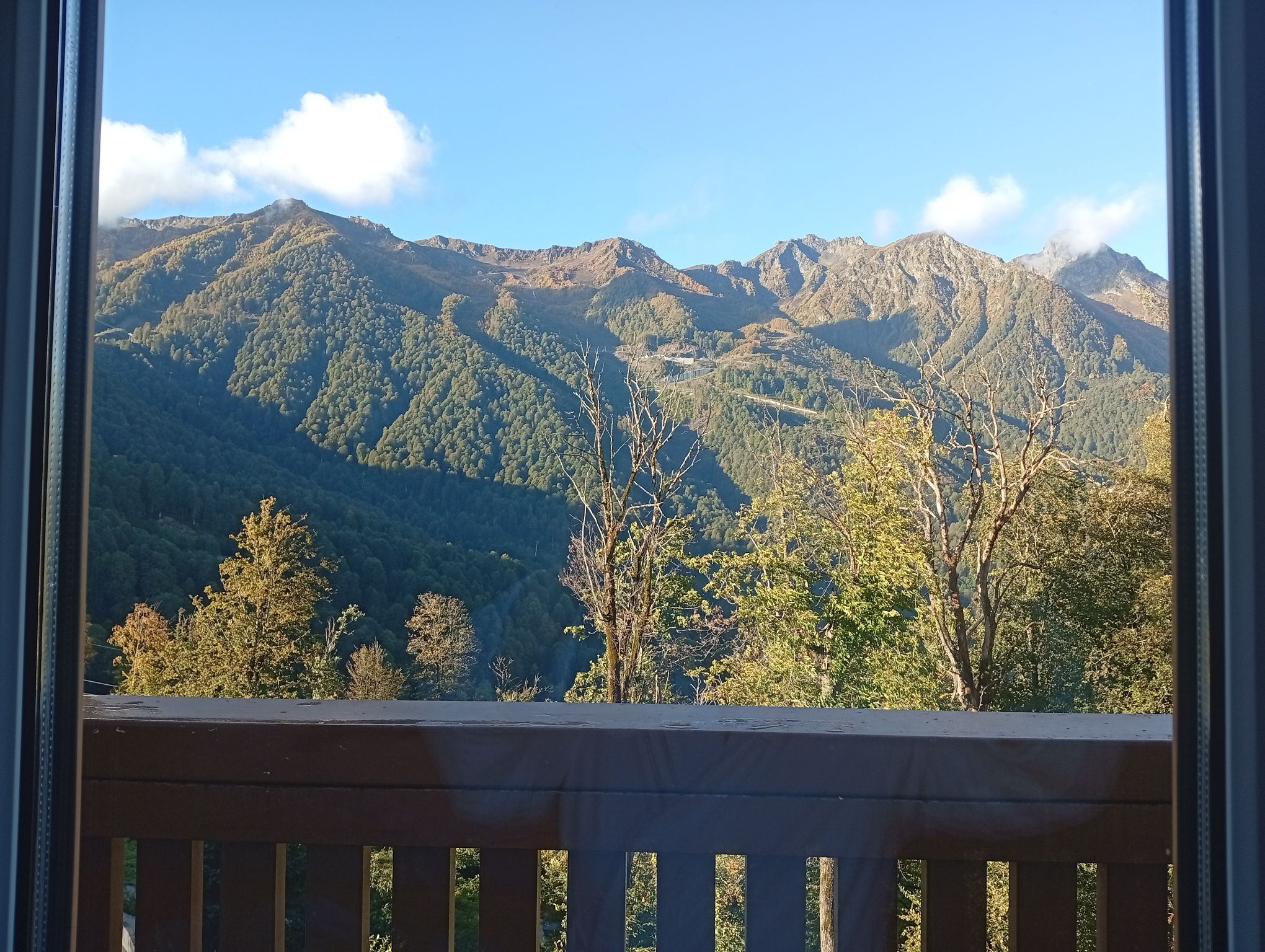 IMG_20251001_074706.jpeg