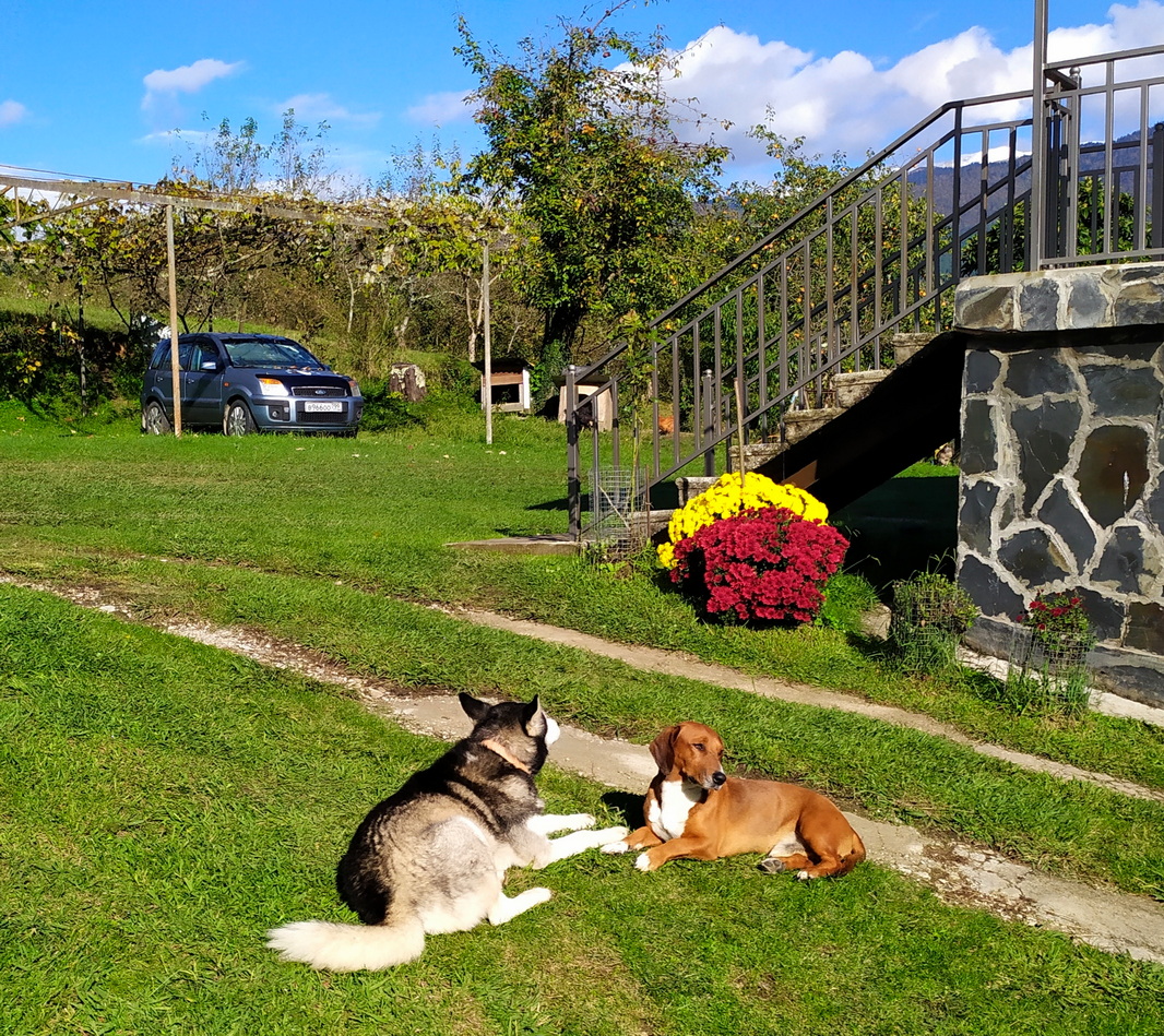 IMG_20251022_111029 Бармыш.jpg