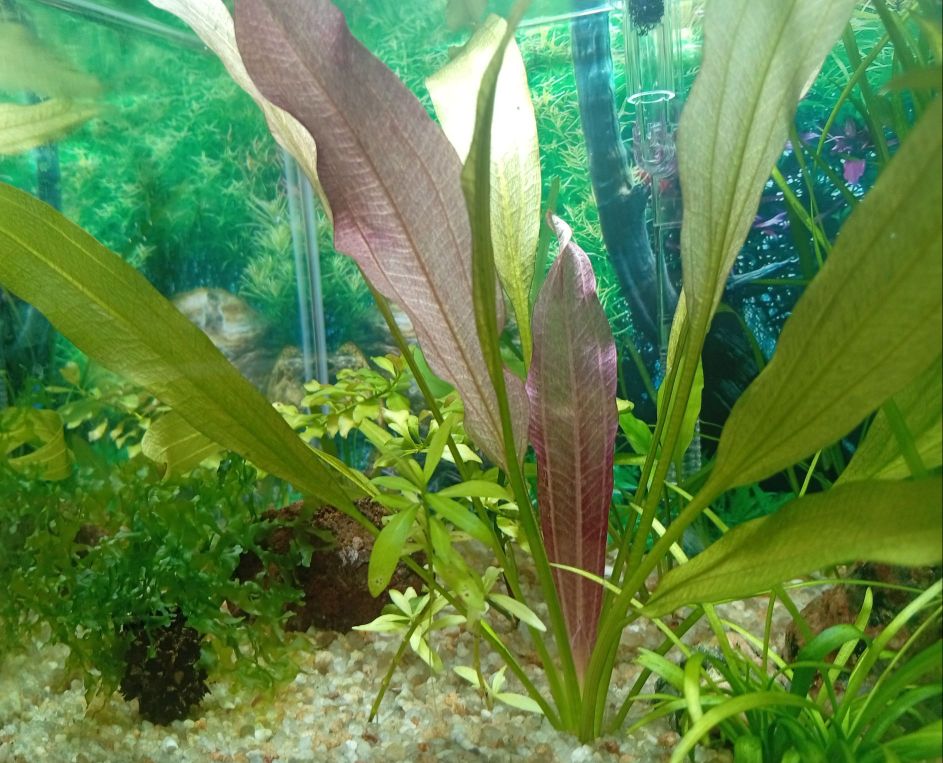 IMG_20251118_084834 (2).jpeg