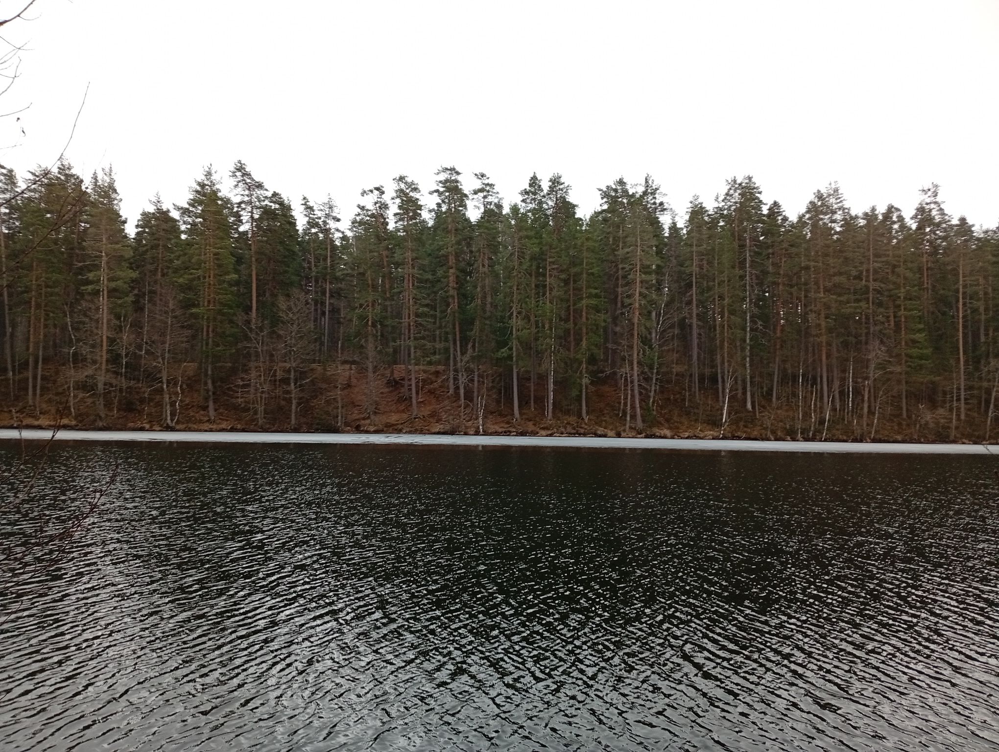 IMG_20260405_171408 (2).jpeg