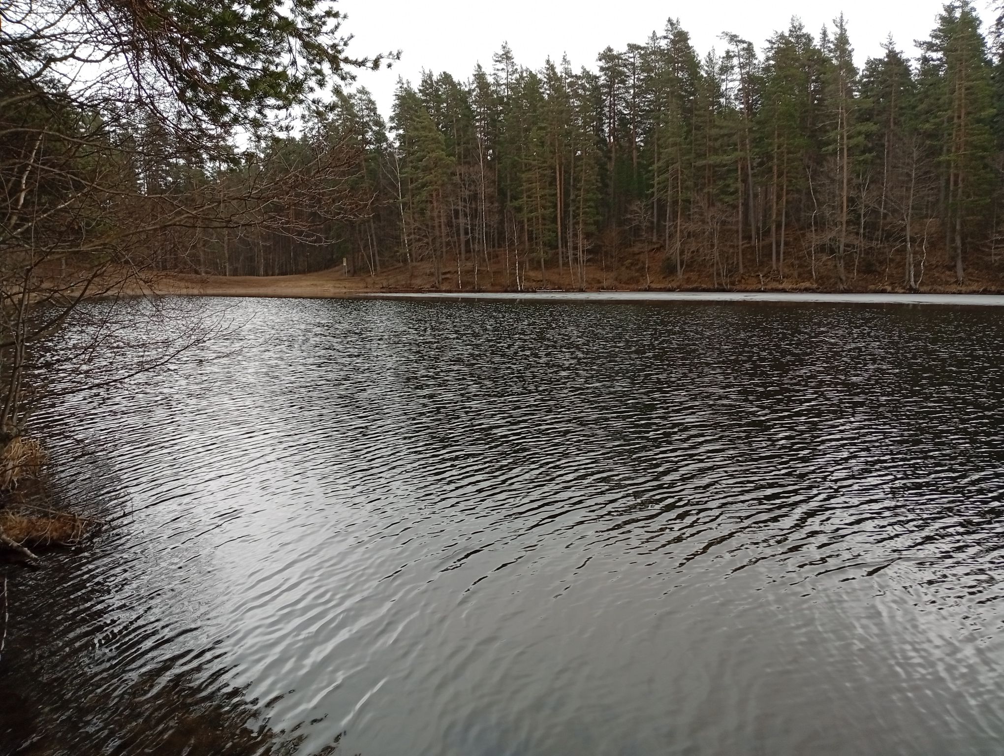 IMG_20260405_171431 (2).jpeg