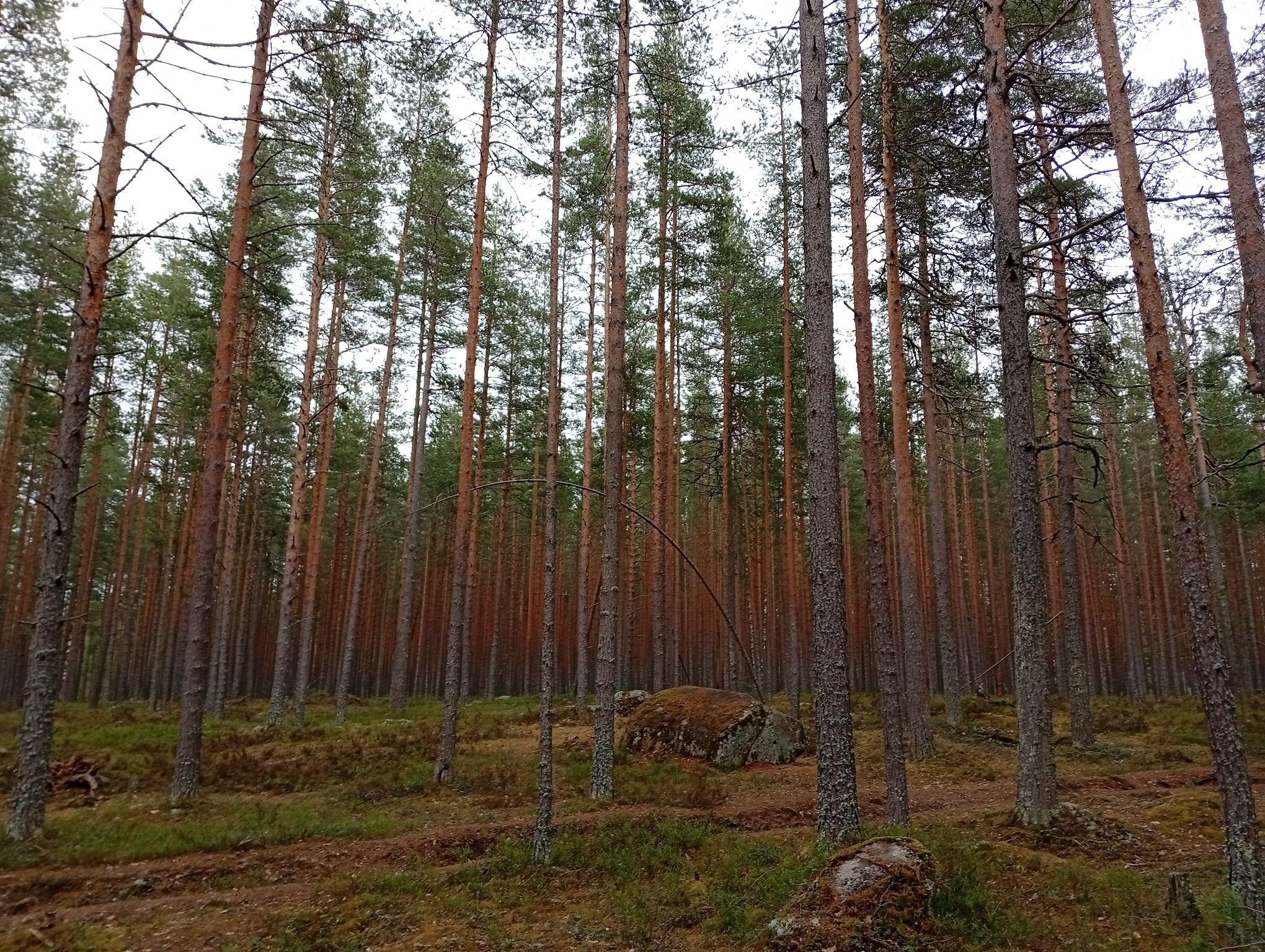 IMG_20260405_173249 (2).jpeg