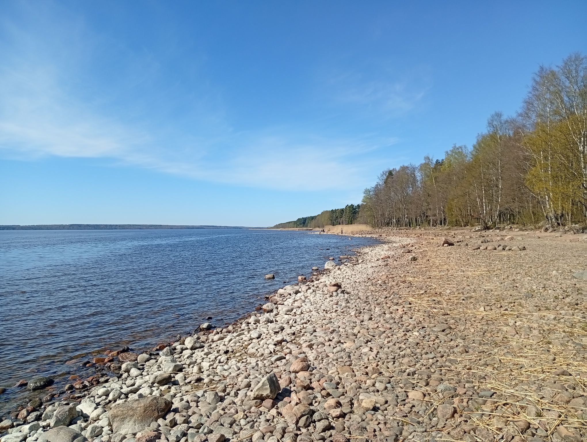 IMG_20260502_111850.jpeg