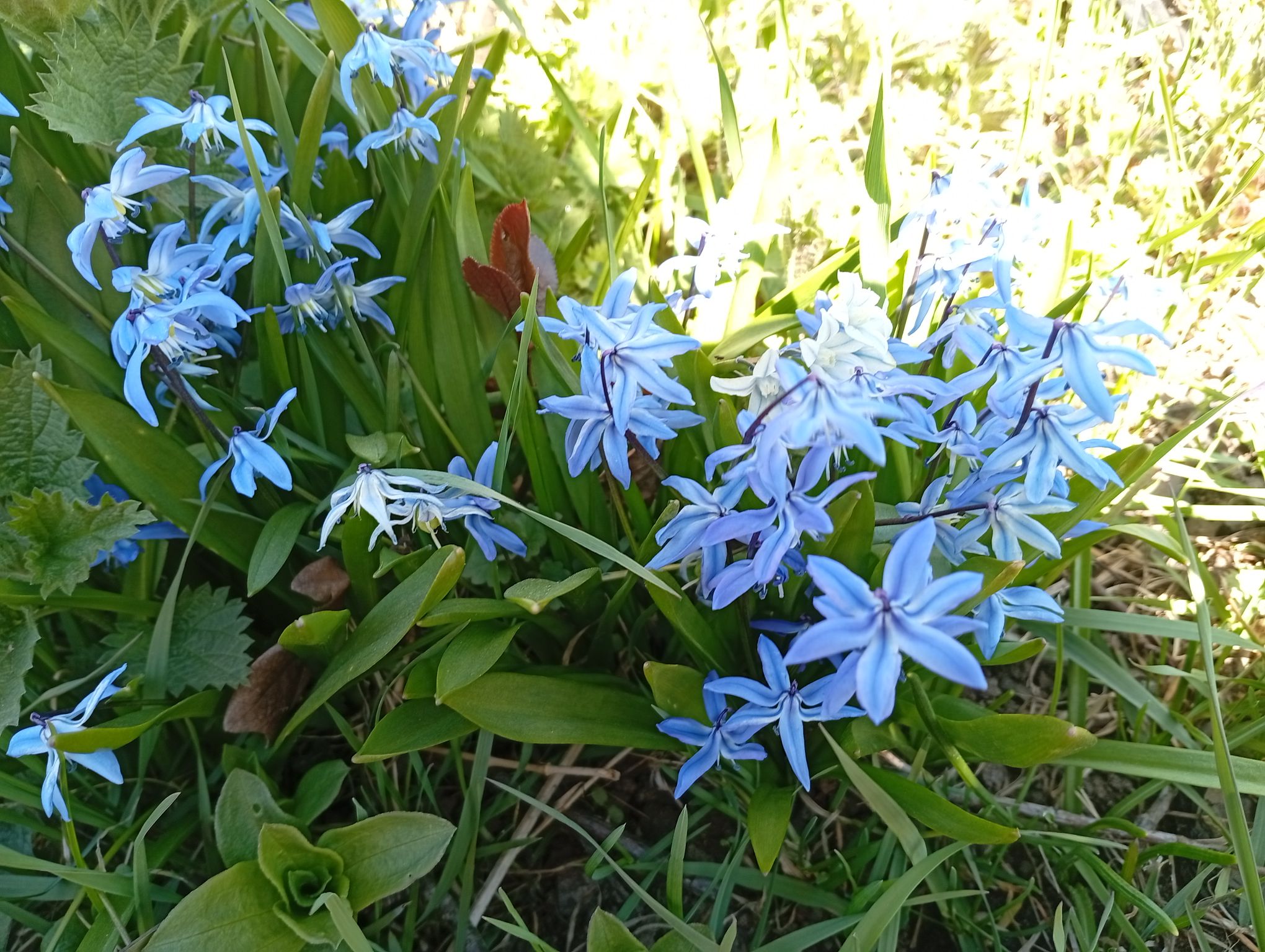 IMG_20260502_123515.jpeg