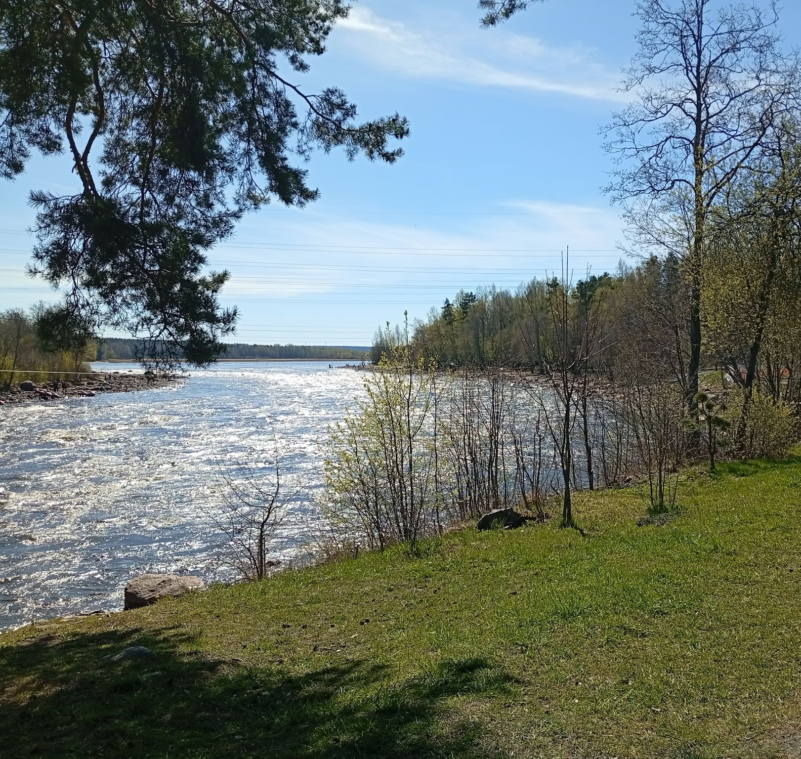 IMG_20260502_123621.jpeg