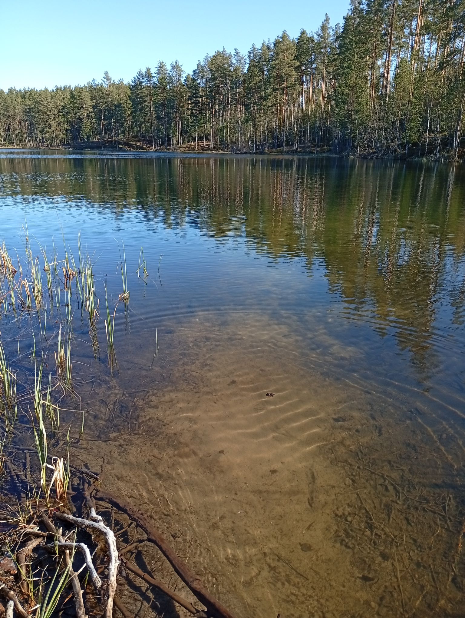 IMG_20260502_174410.jpeg