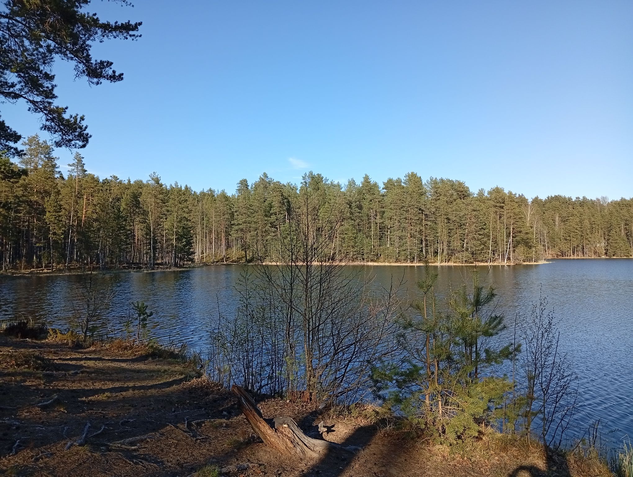 IMG_20260502_174648.jpeg