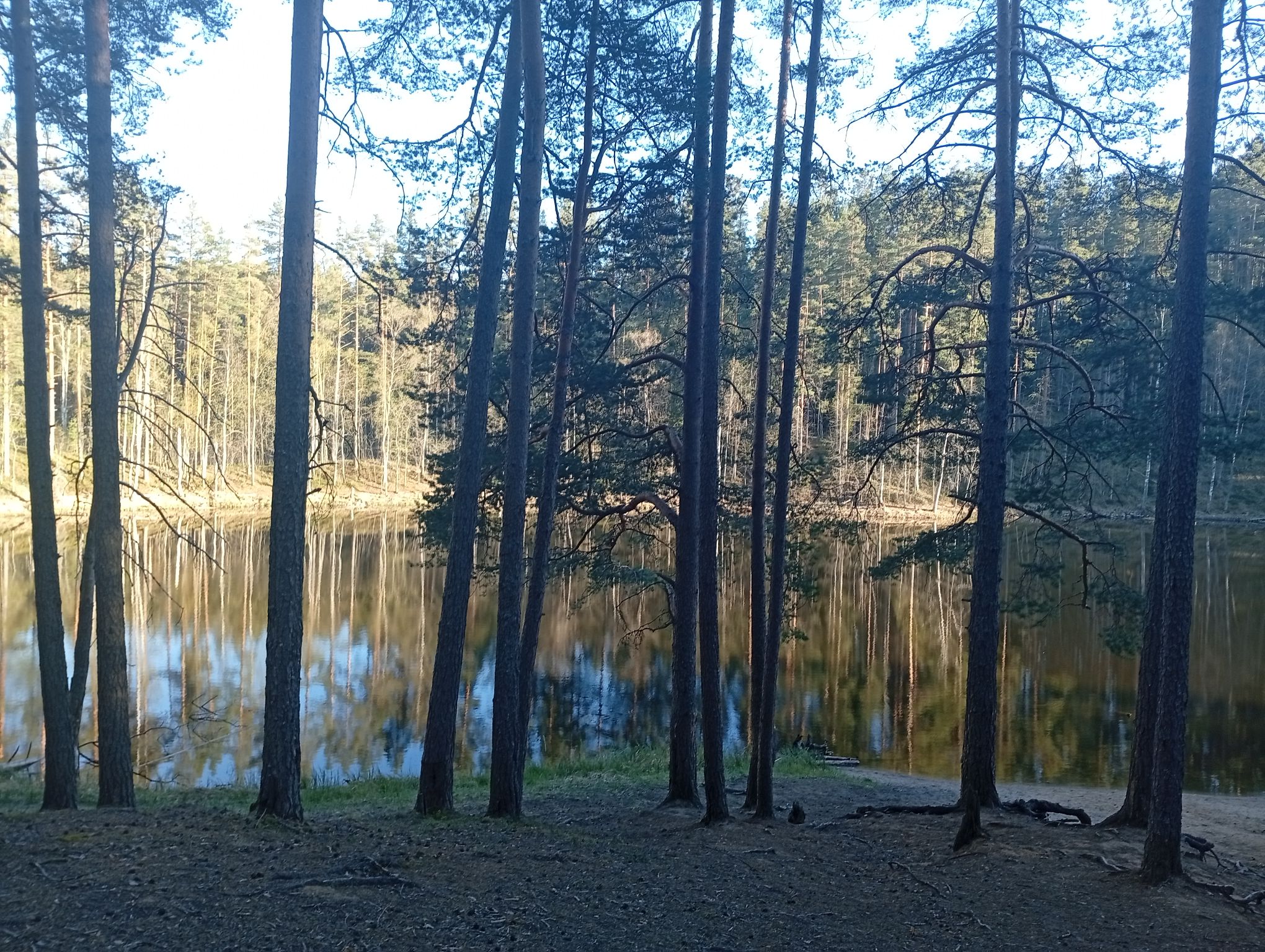 IMG_20260507_190434.jpeg