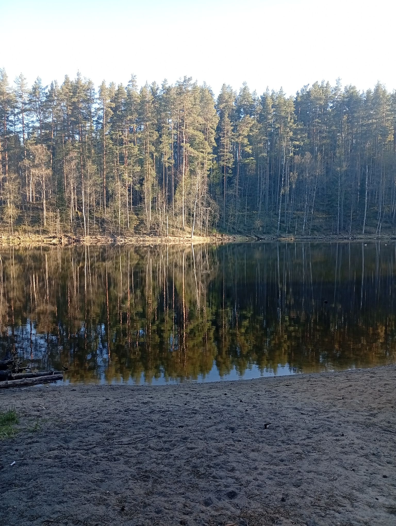 IMG_20260507_191209.jpeg