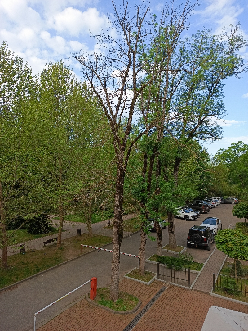 IMG_20260511_070500_279_resize_80.jpg