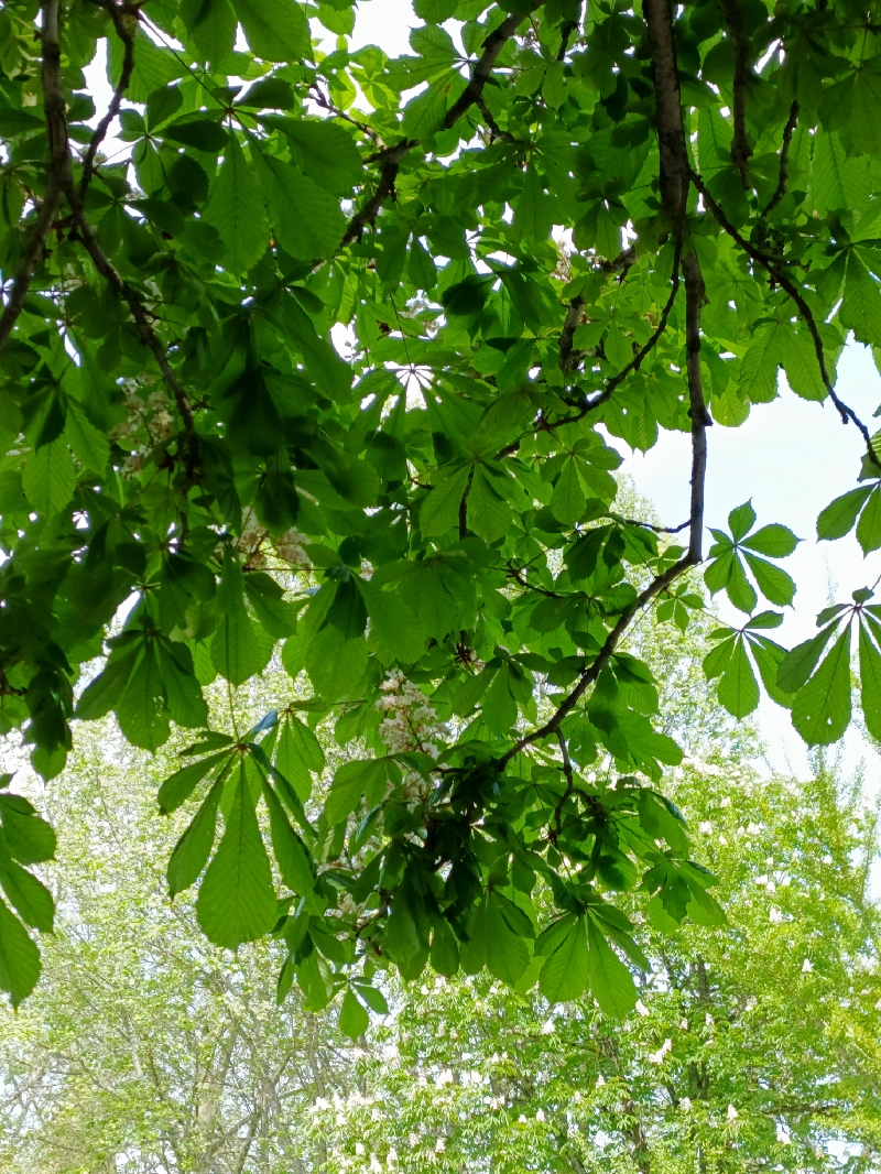 IMG_20260511_102454_170_resize_67.jpg