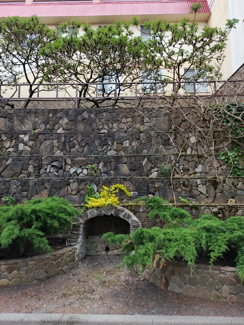 IMG_20260511_185627_487_resize_32.jpg