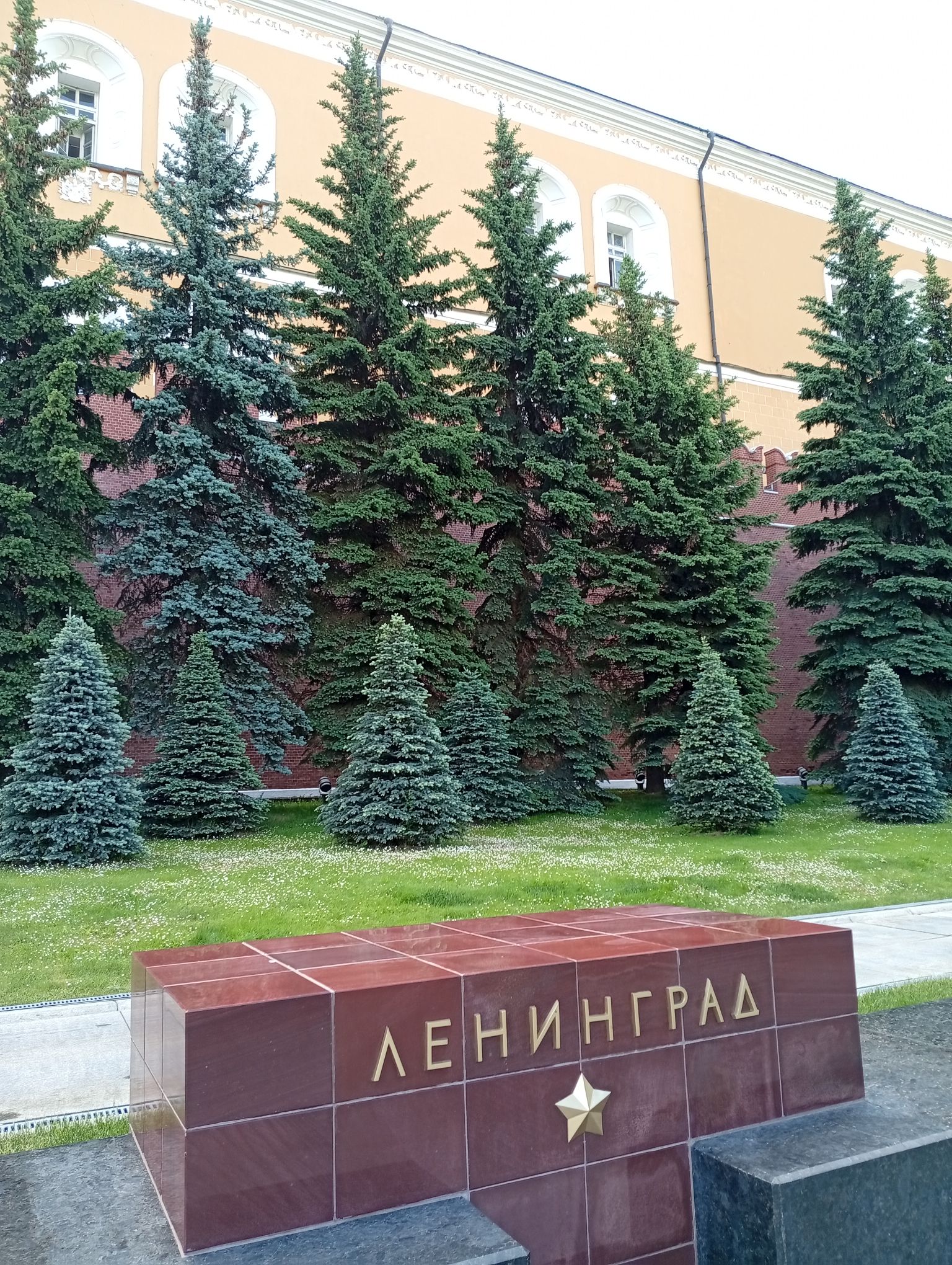 IMG_20260530_082849.jpeg