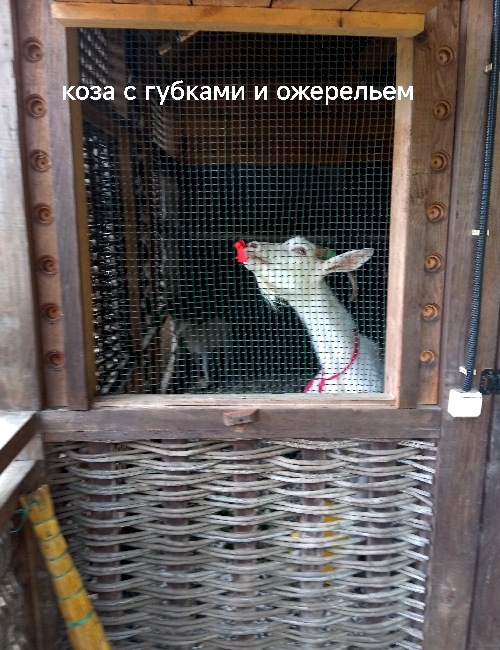 IMG_20260531_063514.jpeg