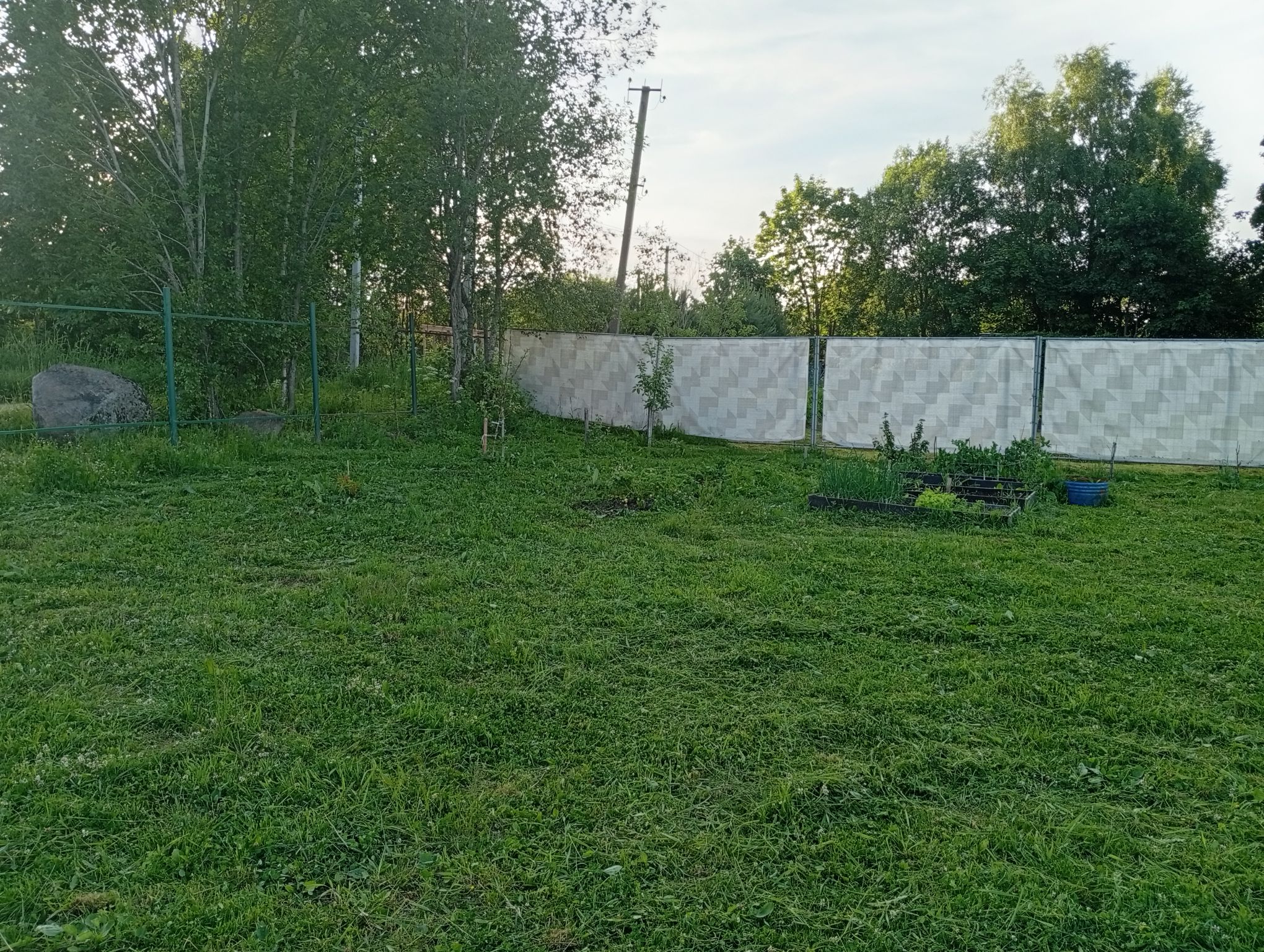 IMG_20260620_203107.jpeg