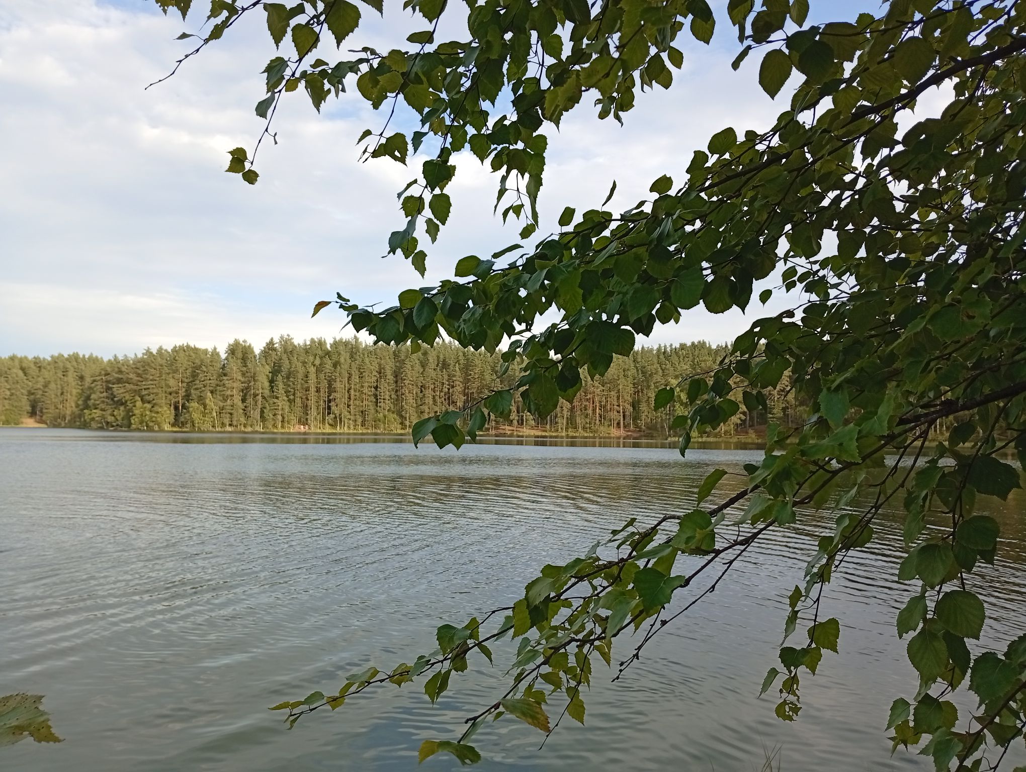 IMG_20260803_184806.jpeg