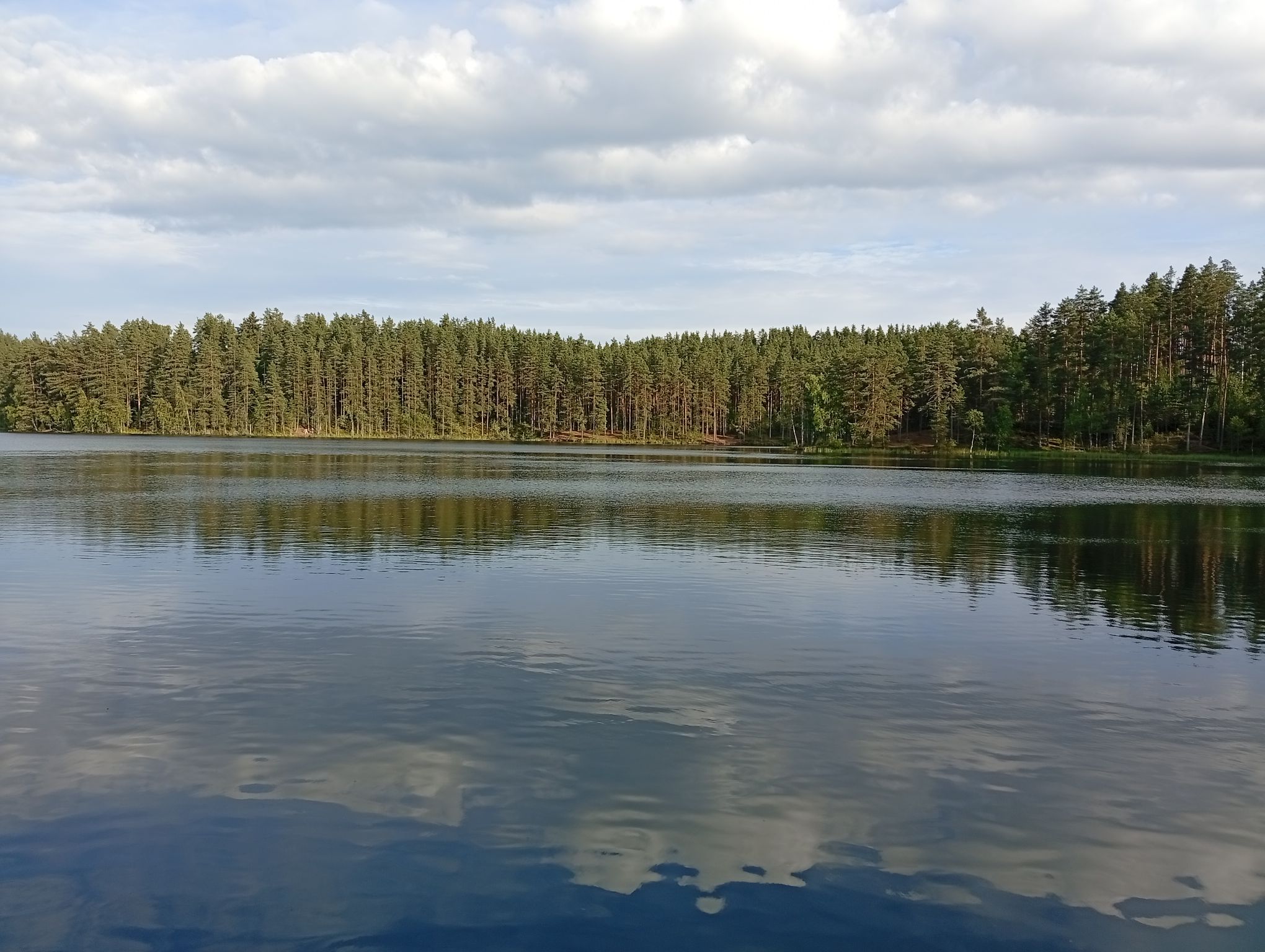 IMG_20260803_190051.jpeg