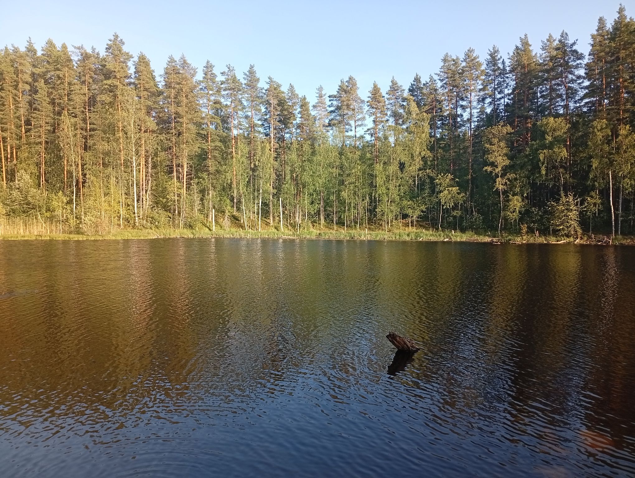 IMG_20260809_191130.jpeg