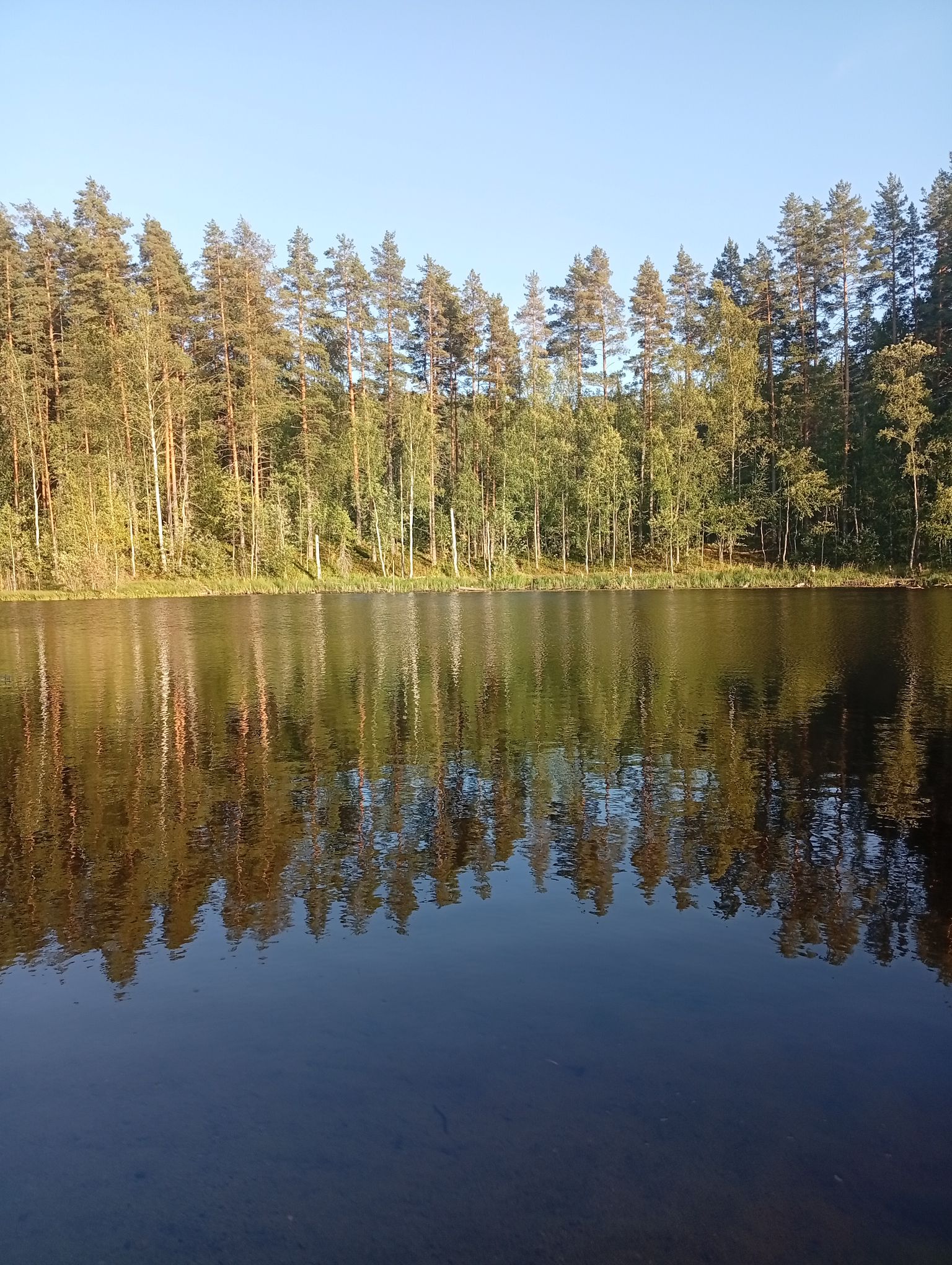IMG_20260809_191612.jpeg